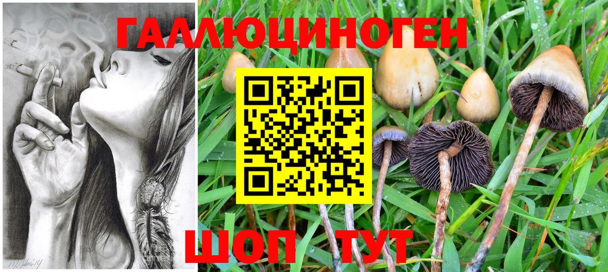Псилоцибиновые грибы ЛСД Курганинск
